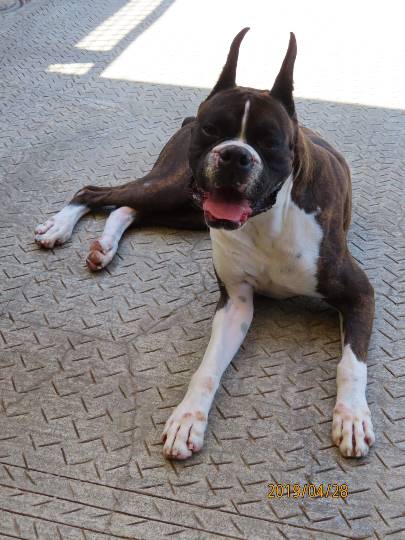 生き物ルーム第13