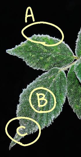 vol.15 愛調(オチョ)南関東(ミナカン)連合 暑くなりましたね~♪