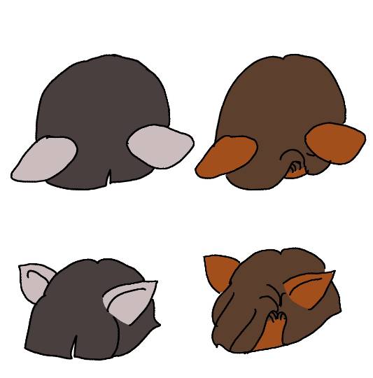 vol.15 愛調(オチョ)南関東(ミナカン)連合 暑くなりましたね~♪