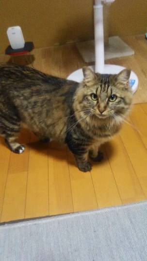 生き物ルーム第12