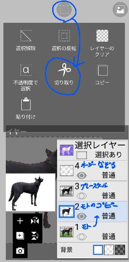 生き物ルーム第13