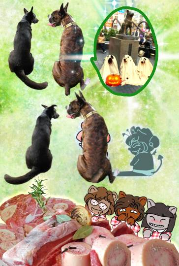 生き物ルーム第13