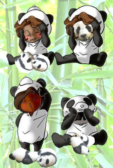 生き物ルーム第12