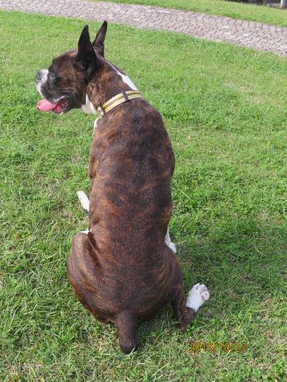 生き物ルーム第13