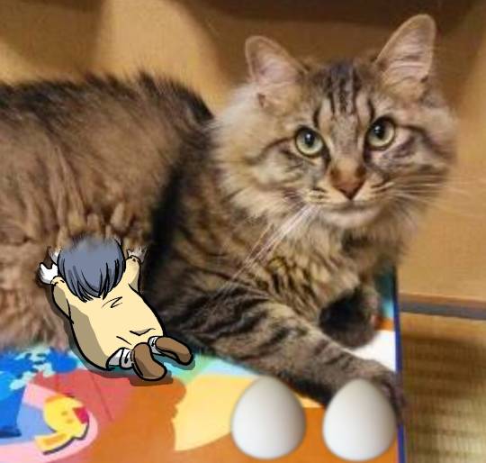 生き物ルーム第13