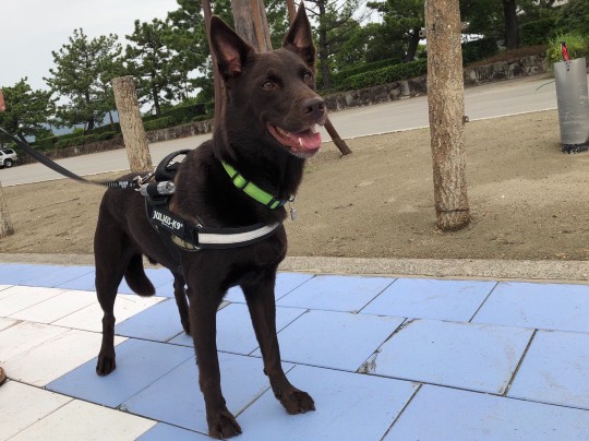 生き物ルーム第12