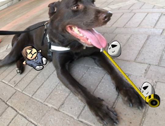 生き物ルーム第13