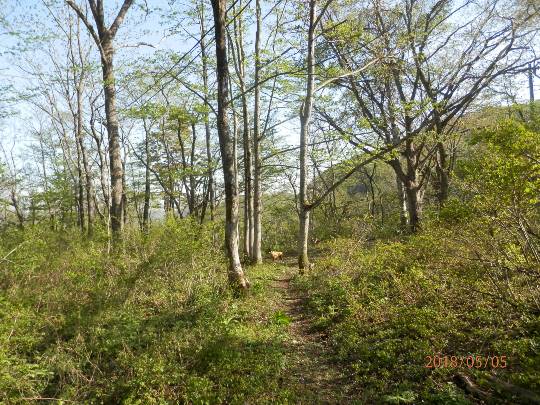 生き物ルーム第12