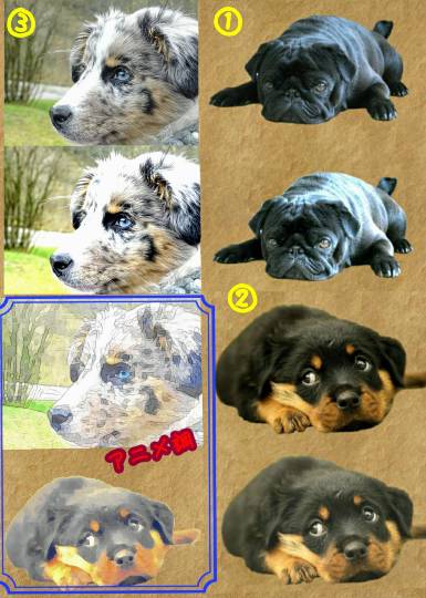 生き物ルーム第12