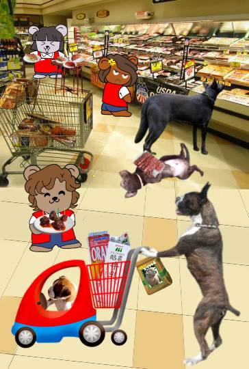 生き物ルーム第13