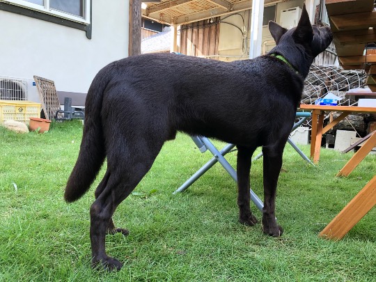 生き物ルーム第13