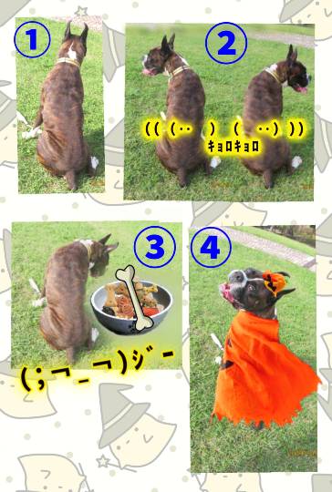 生き物ルーム第13