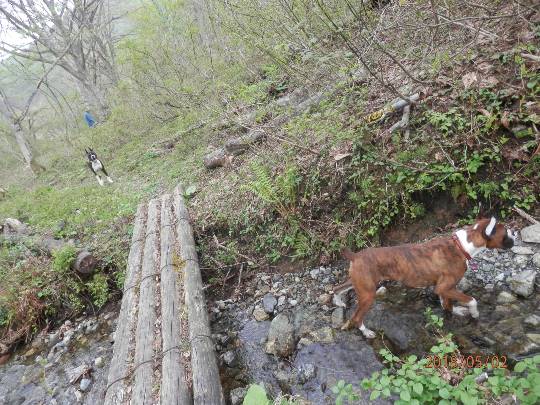 生き物ルーム第12