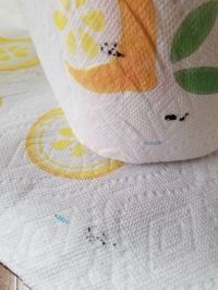 バウンティペーパータオルの汚れ