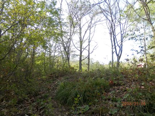 生き物ルーム第12