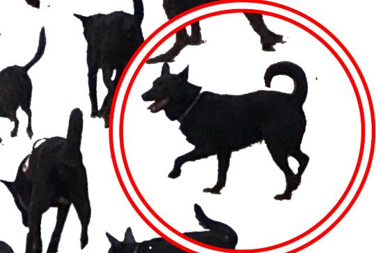 生き物ルーム第12