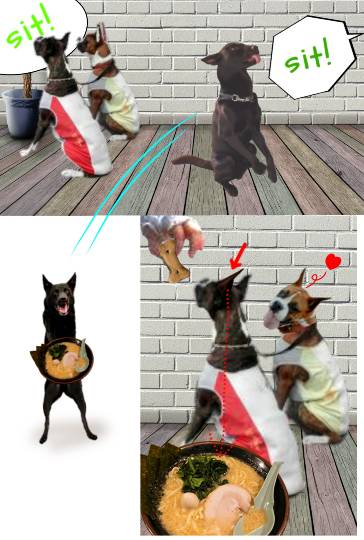 生き物ルーム第12