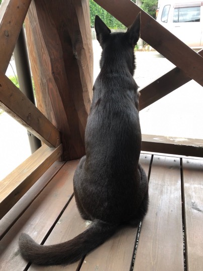 生き物ルーム第13