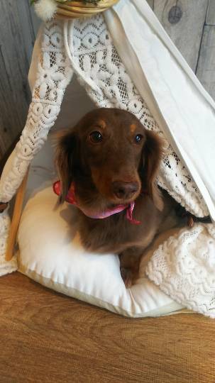 生き物ルーム第13