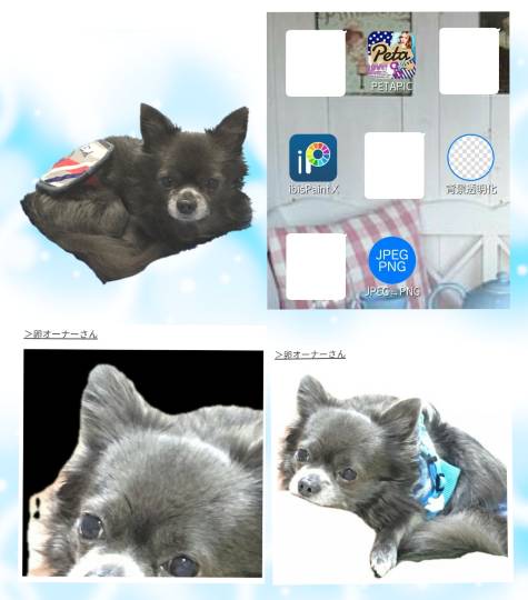 生き物ルーム第13