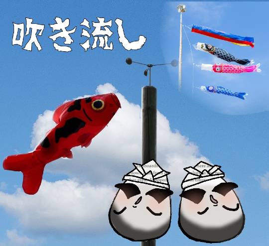 生き物ルーム第13