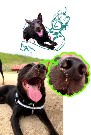 生き物ルーム第13