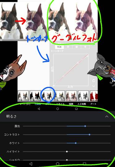 生き物ルーム第12