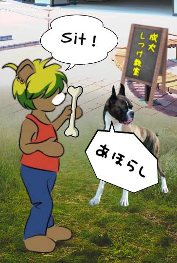 生き物ルーム第12