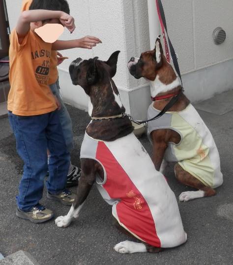 生き物ルーム第12