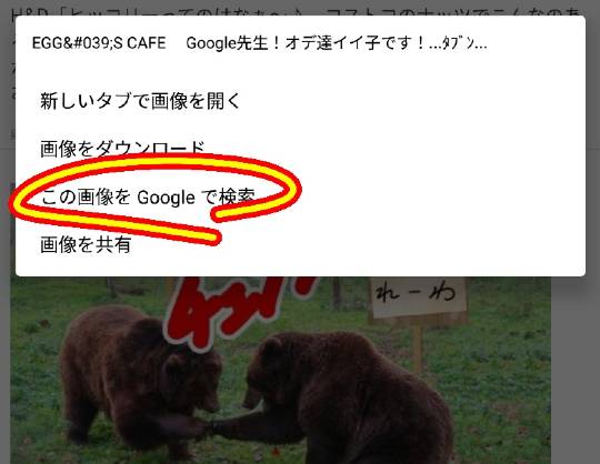 EGG&#039;S CAFE 　Google先生！オデ達イイ子です！...ﾀﾌﾞﾝ...