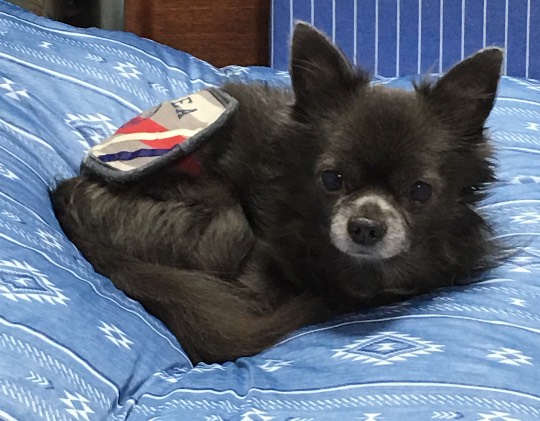 生き物ルーム第12