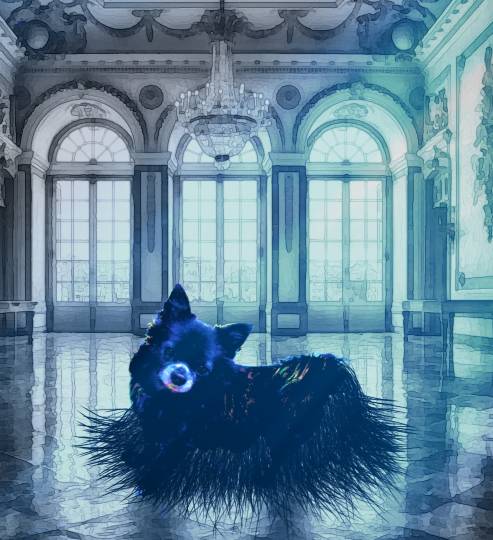 生き物ルーム第13