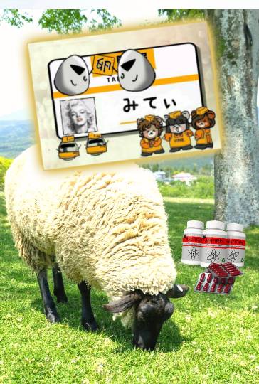 生き物ルーム第13