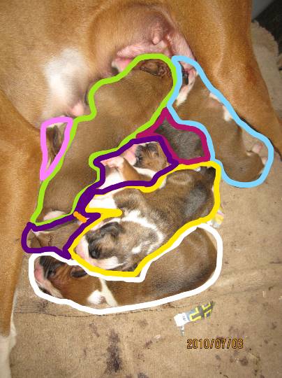 生き物ルーム第13