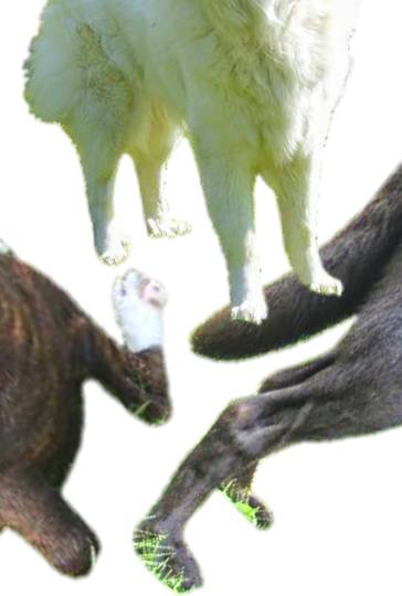 生き物ルーム第13