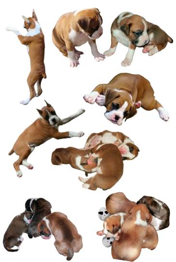 生き物ルーム第13