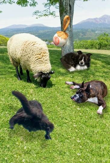 生き物ルーム第13