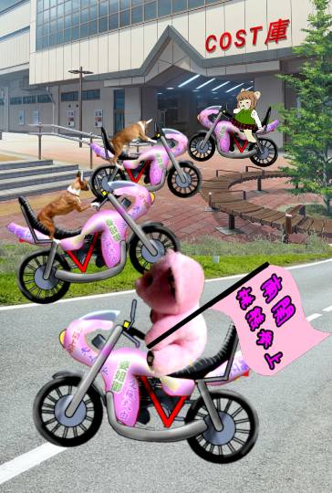 生き物ルーム第13