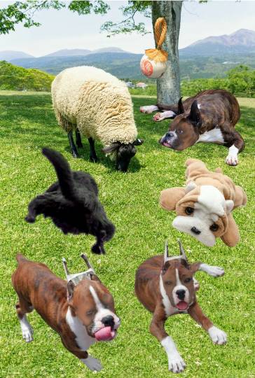 生き物ルーム第13