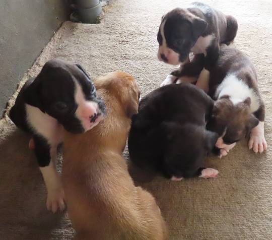 生き物ルーム第13