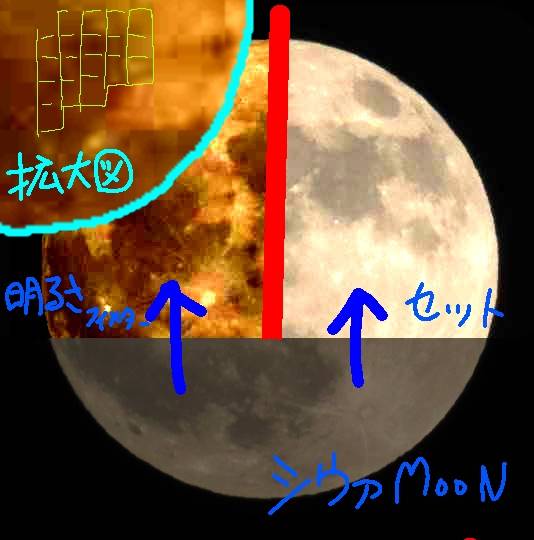 vol.15 愛調(オチョ)南関東(ミナカン)連合 暑くなりましたね~♪