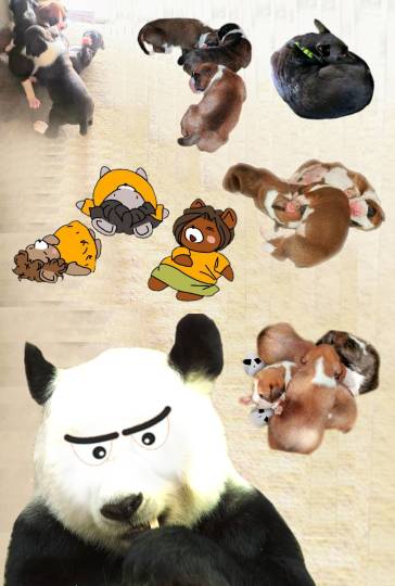 生き物ルーム第13