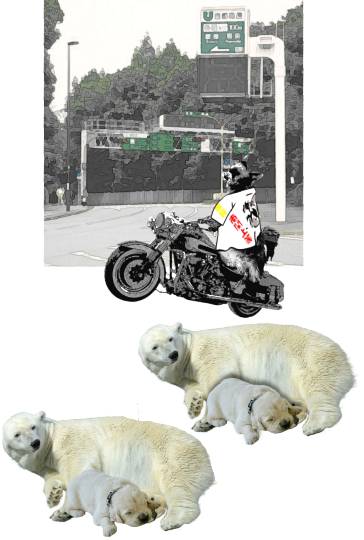 生き物ルーム第13