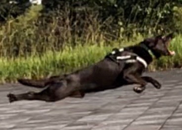 生き物ルーム第13