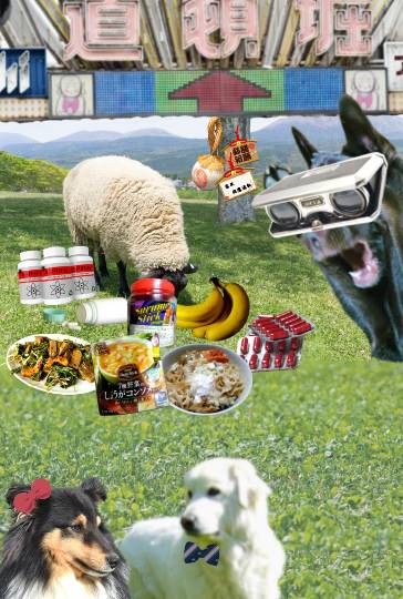 生き物ルーム第13