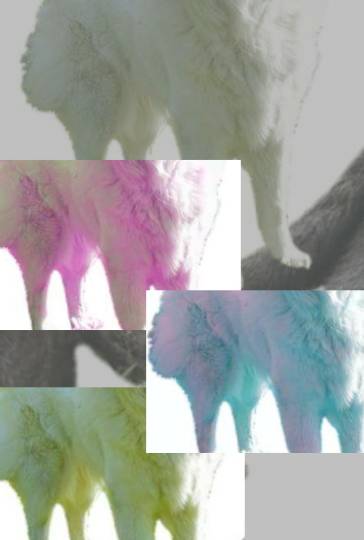 生き物ルーム第13