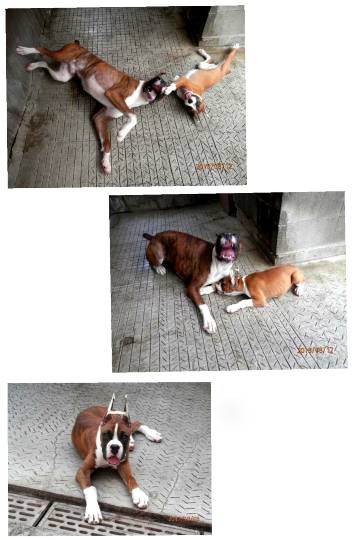 生き物ルーム第13