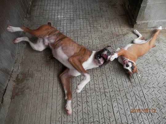 生き物ルーム第13