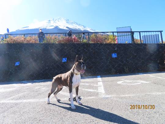 生き物ルーム第13