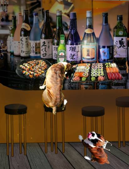 生き物ルーム第13